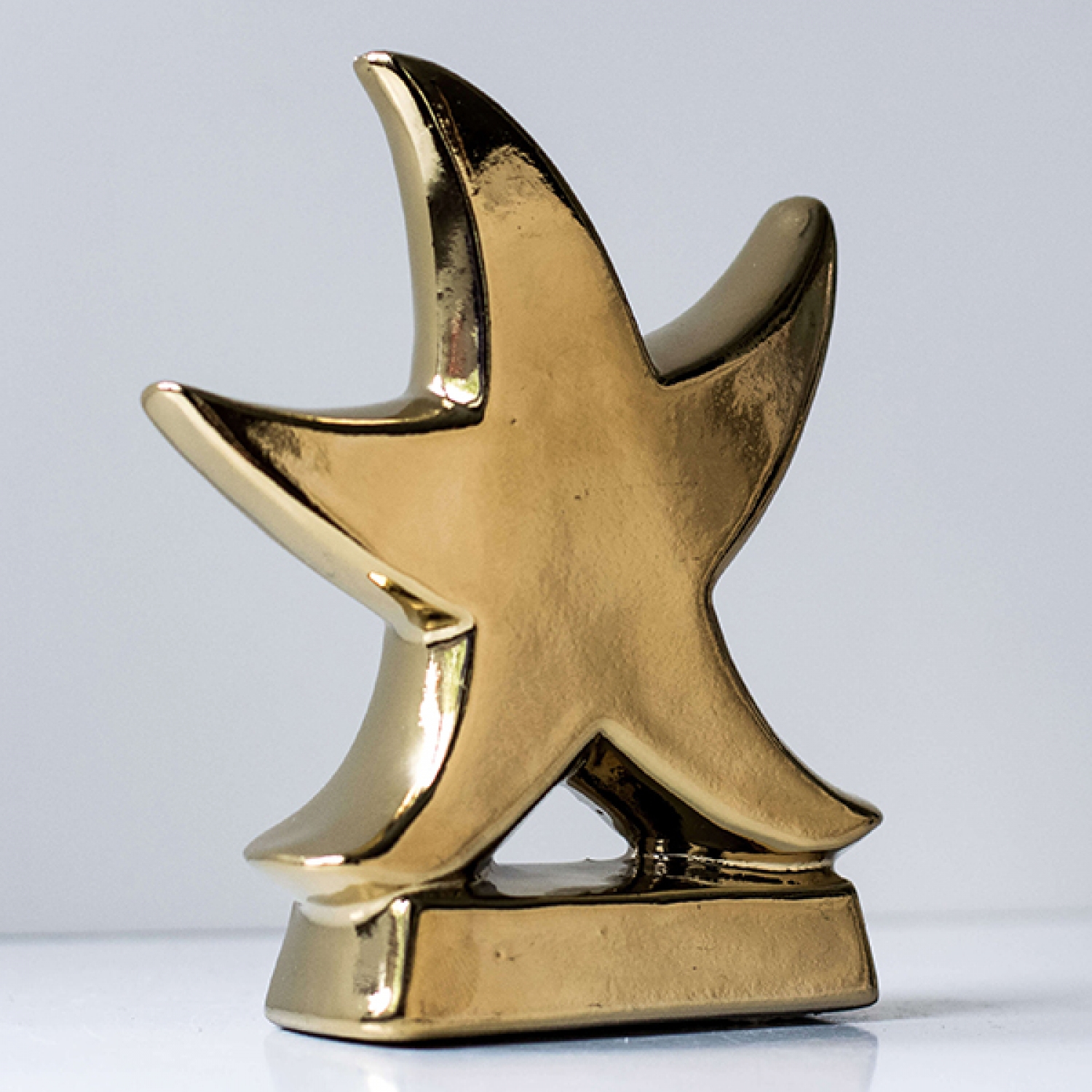 Vidznaka Зірка БОБ gold