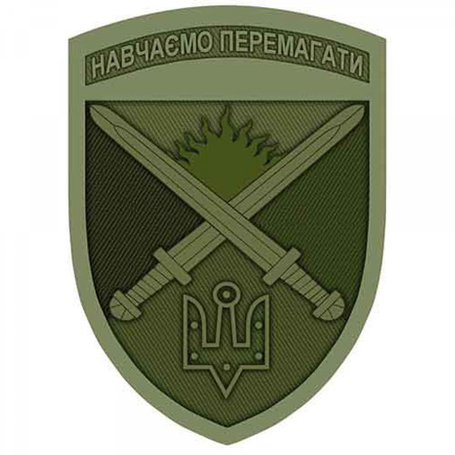 Нашивка ЗСУ Навчаємо перемагати Десна польовий