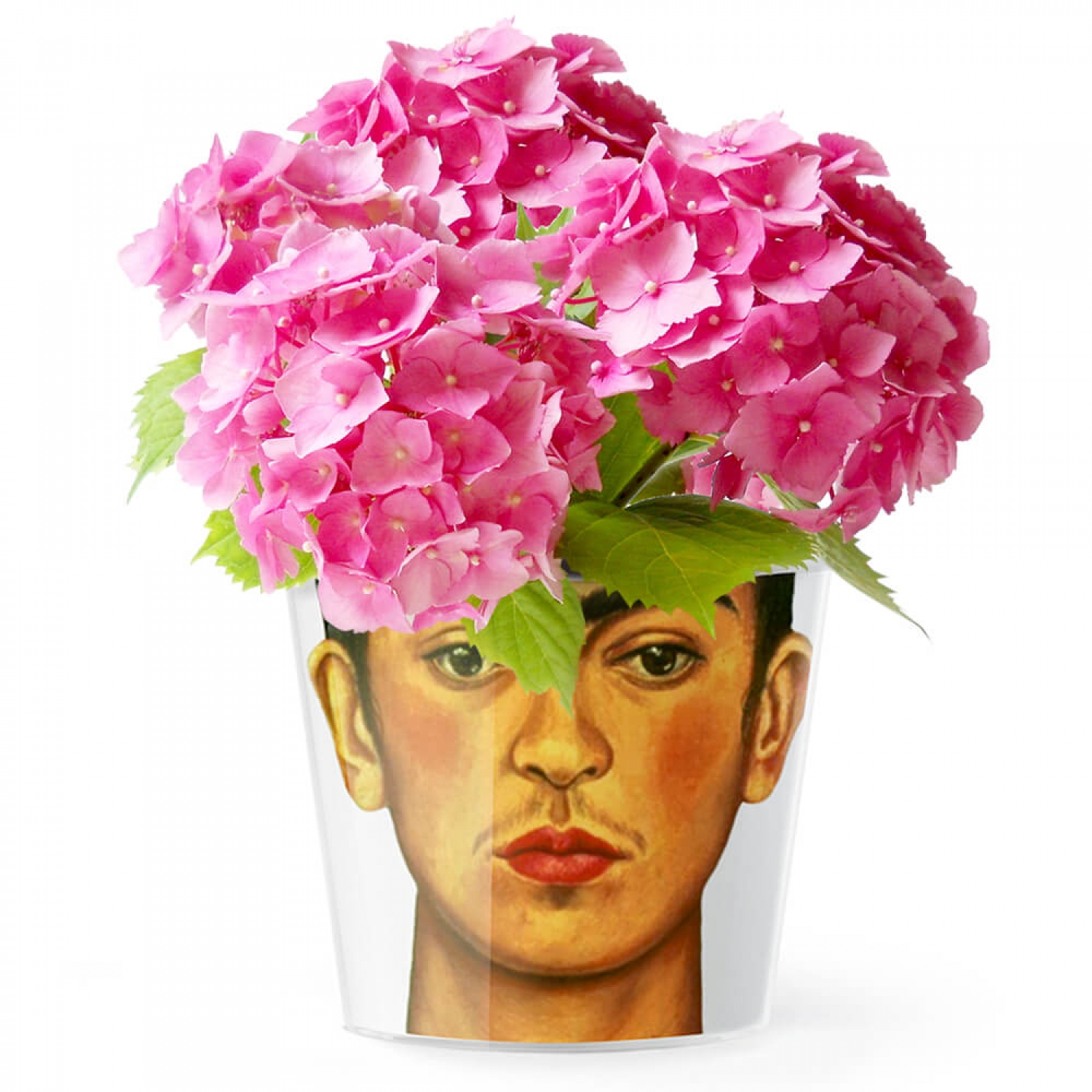 MyFacepot Frida