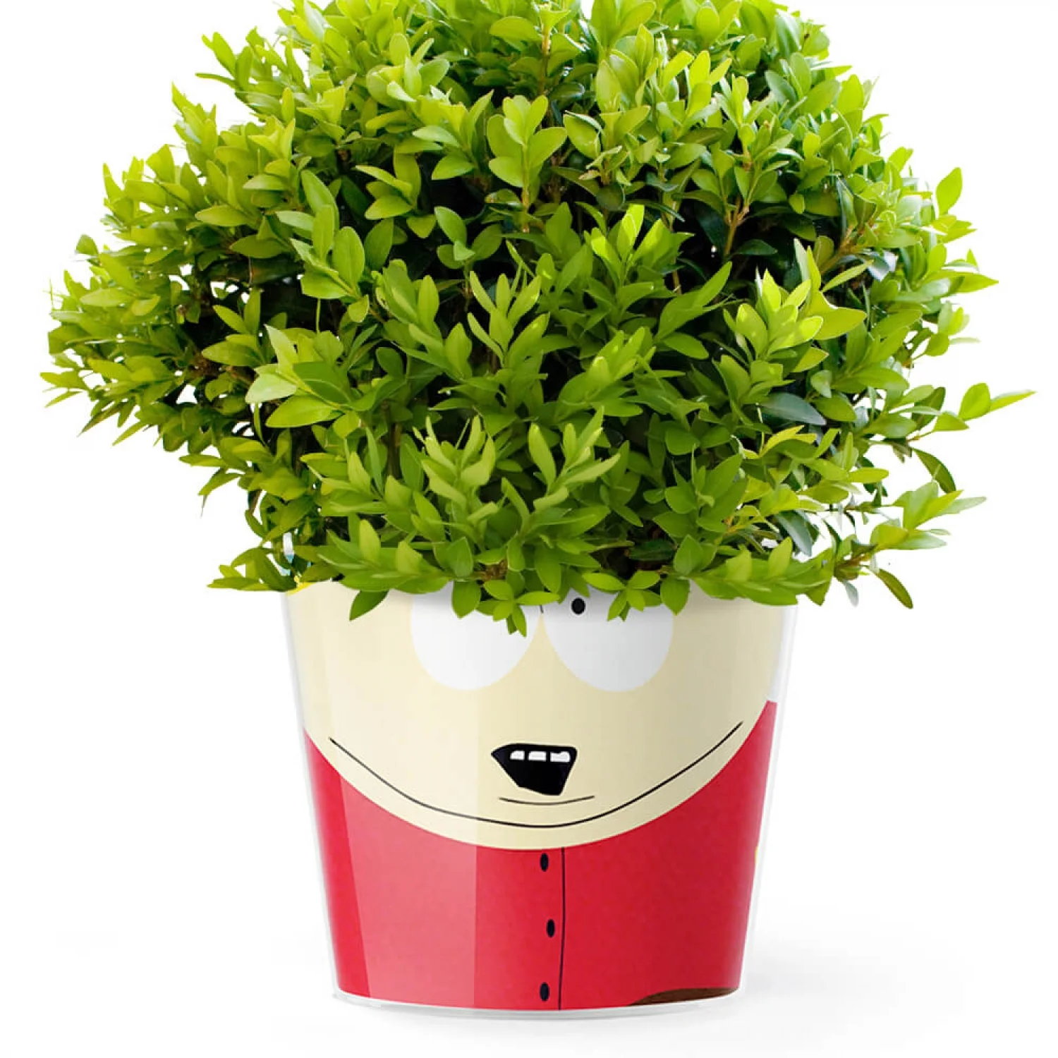 MyFacepot South park