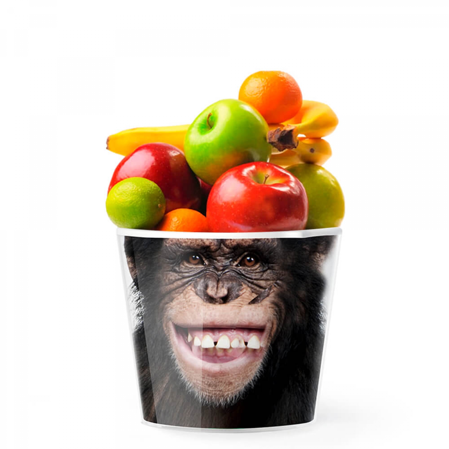 MyFacepot  Animal_Monkey