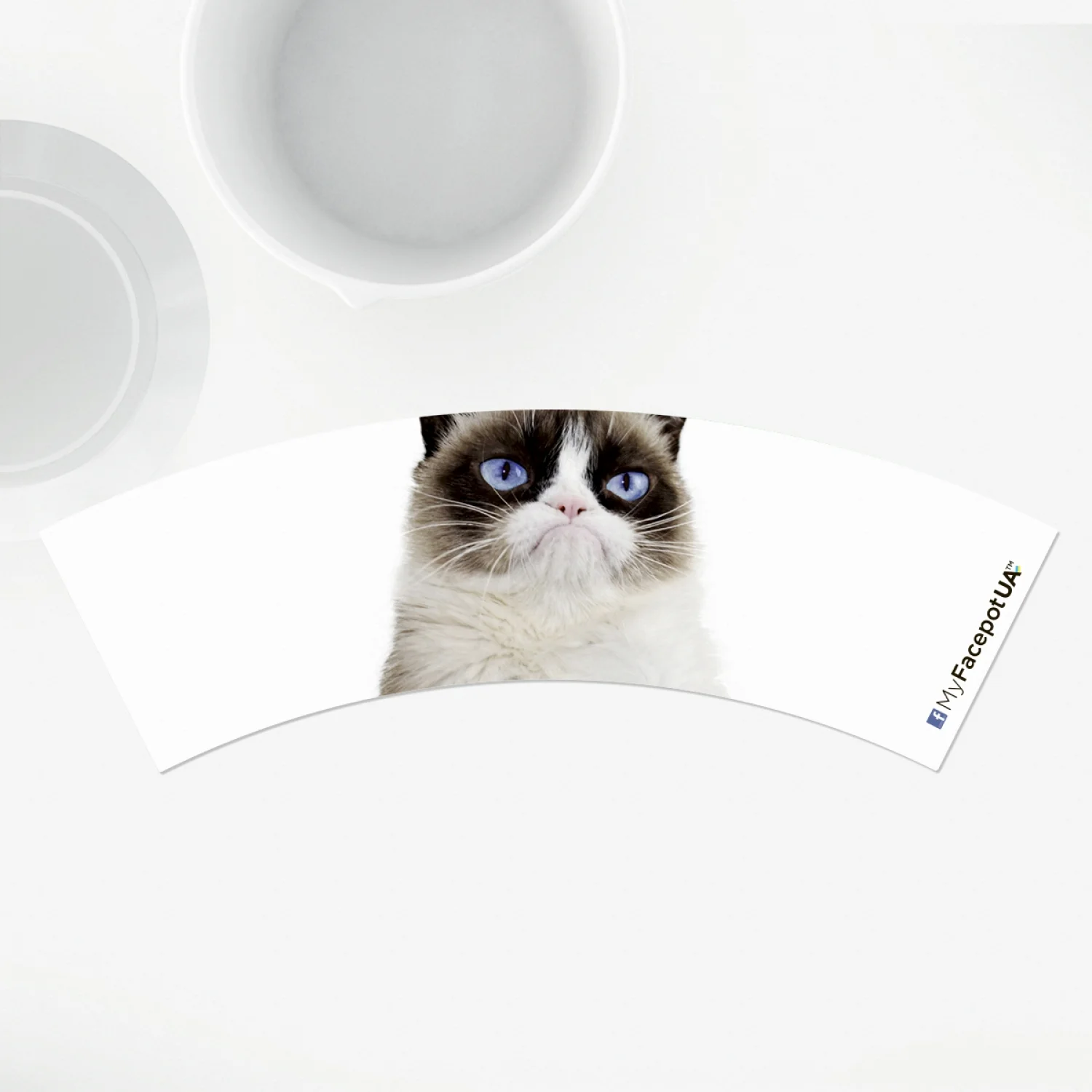 MyFacepot Animal_Groomy cat