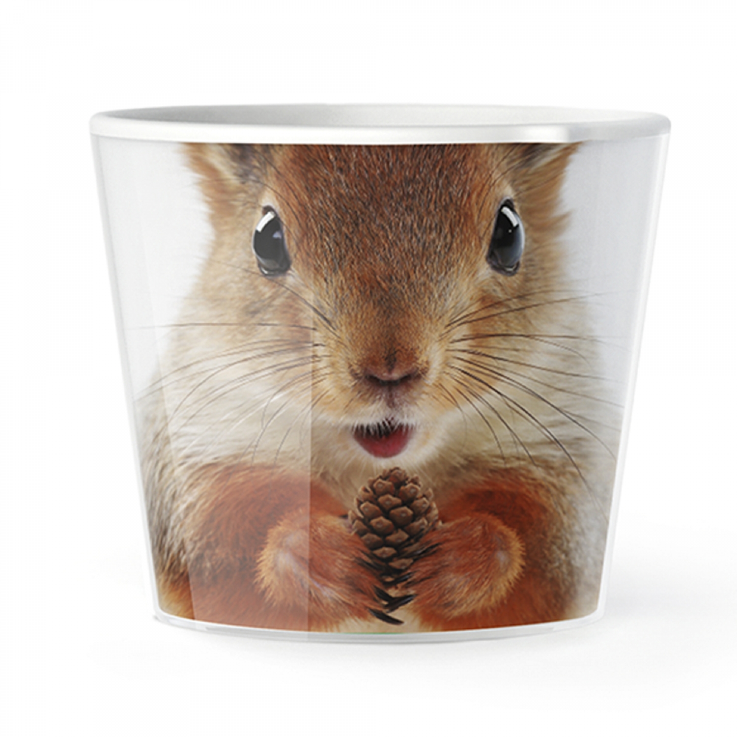 MyFacepot Animal_Squirrel