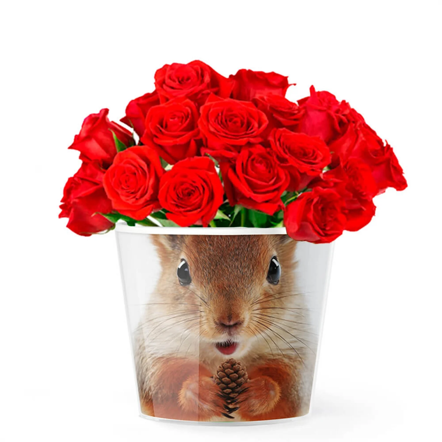 MyFacepot Animal_Squirrel