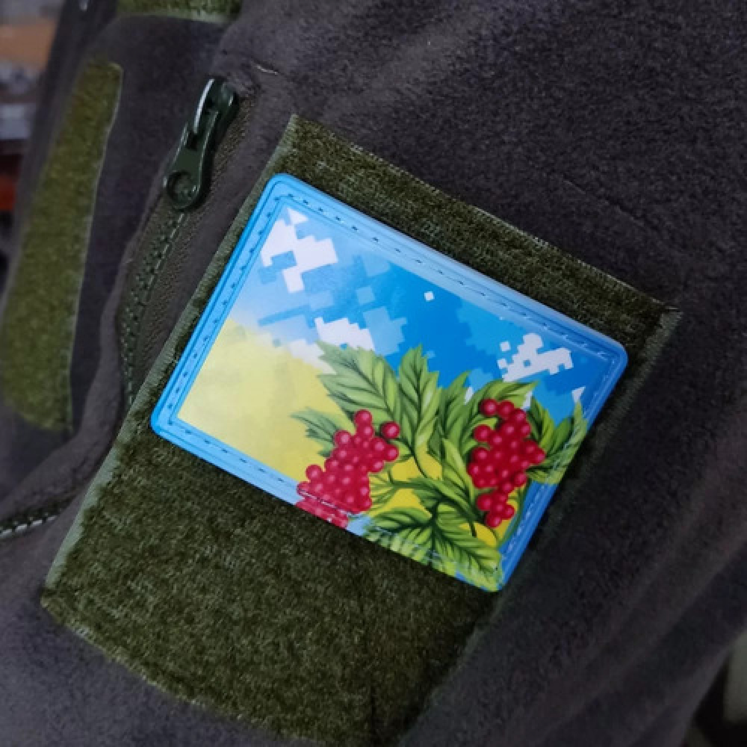 Нашивка Калина