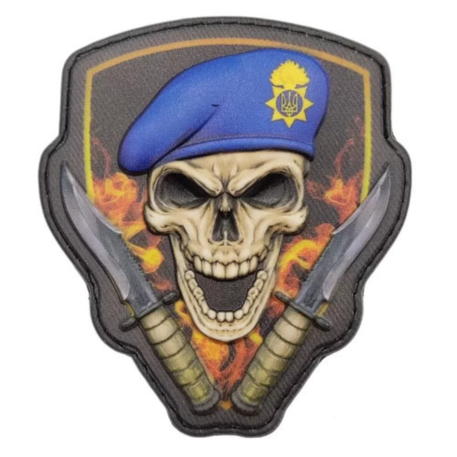 Шеврон Череп в берете НГУ объемный