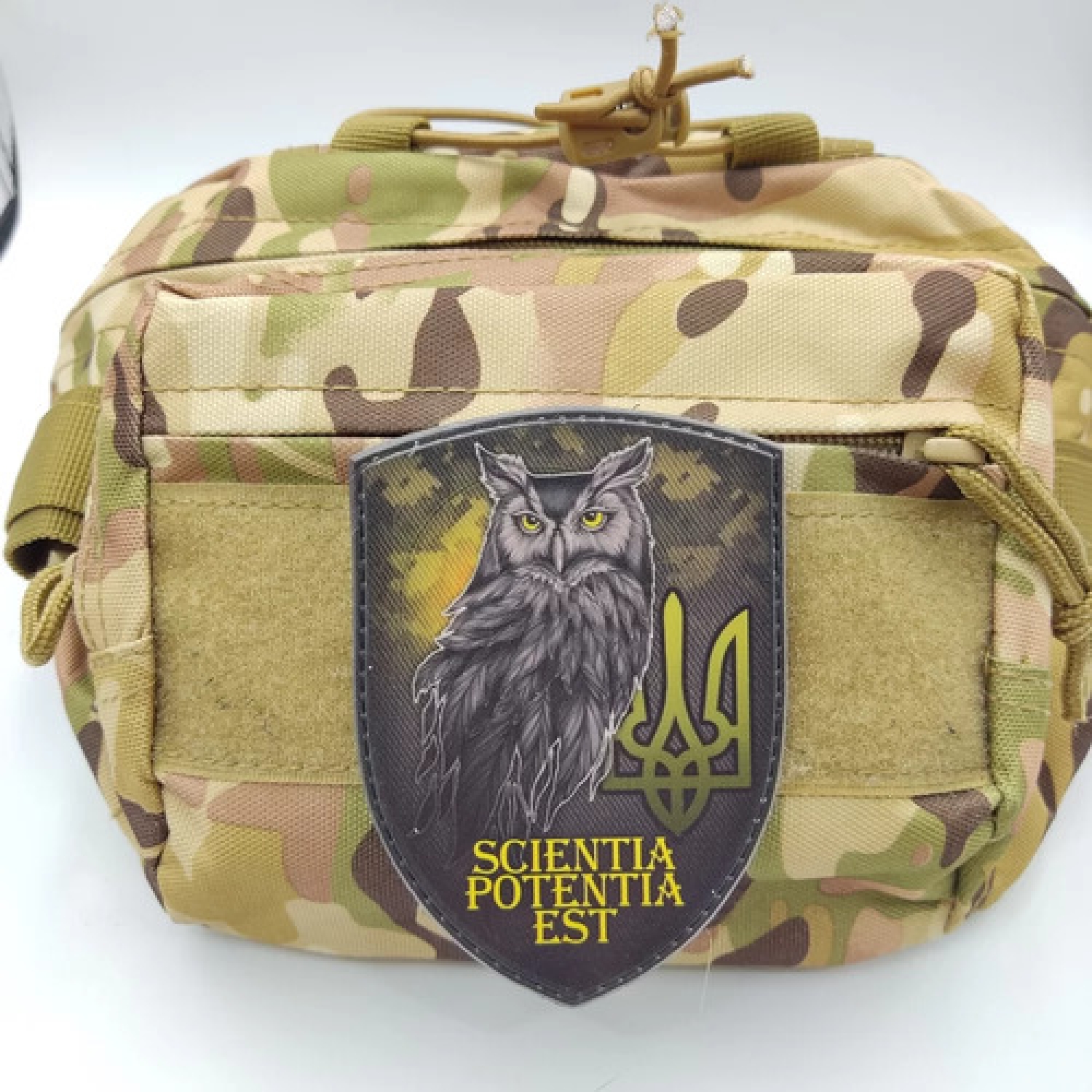 Нашивка Scientia Potentia Est - Знання - сила