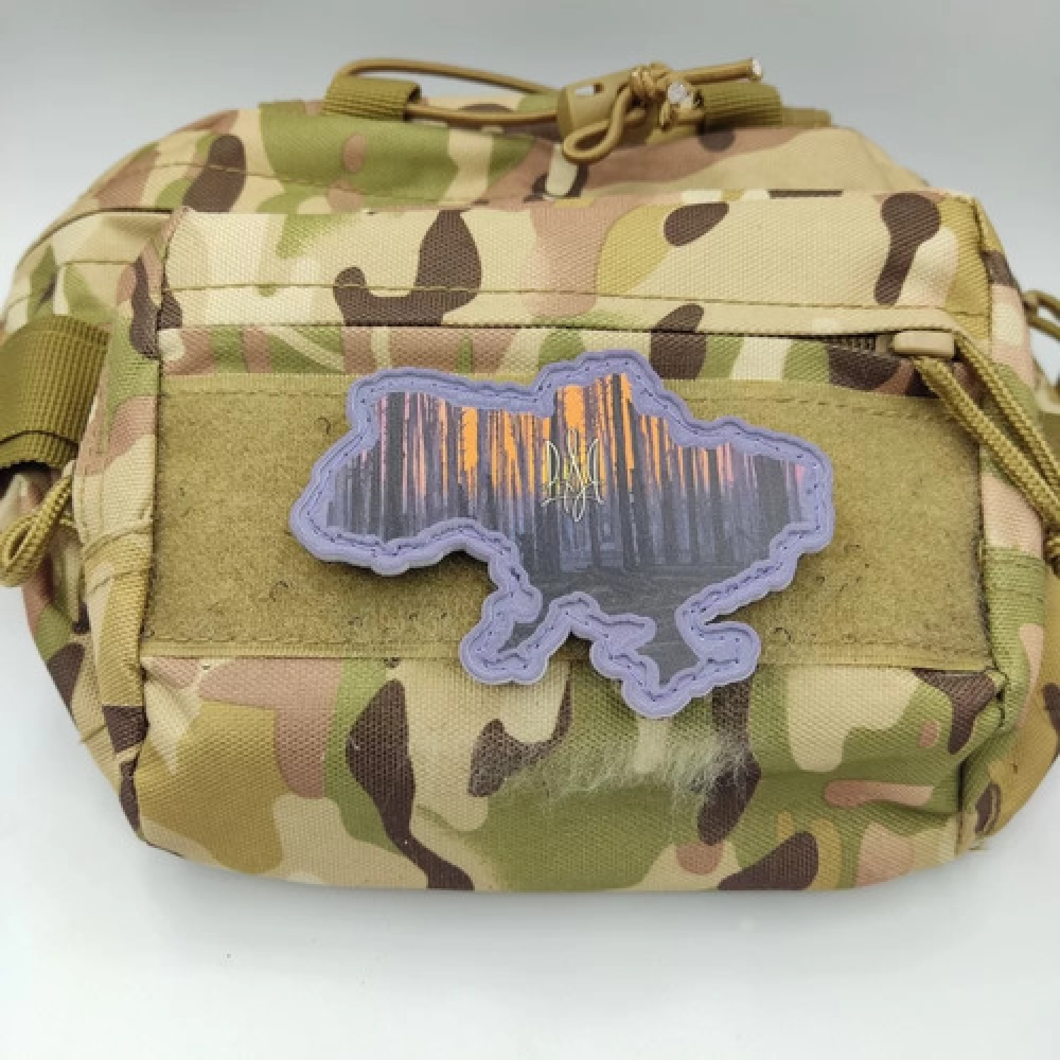 Шеврон Украина лес