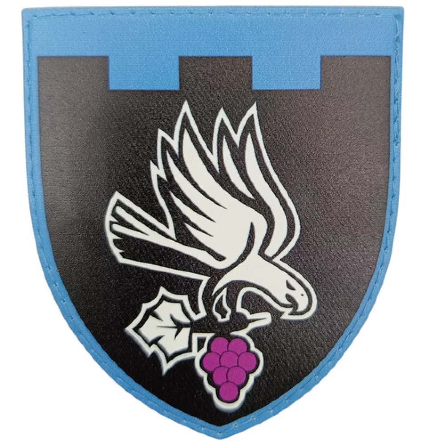 Шеврон ТрО 122 окремий батальйон територіальної оборони