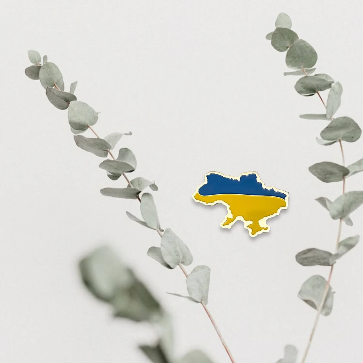 Значок Карта України Як ти !