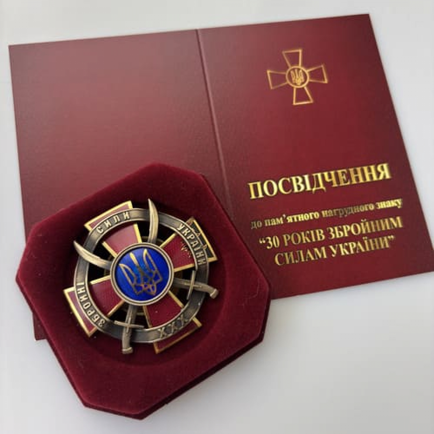 Памятный нагрудный знак «30 лет Вооруженным Силам Украины»
