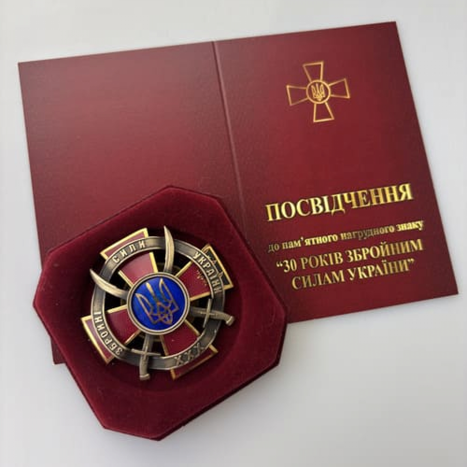 Памятный нагрудный знак «30 лет Вооруженным Силам Украины»