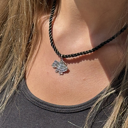 Кулон мапа України