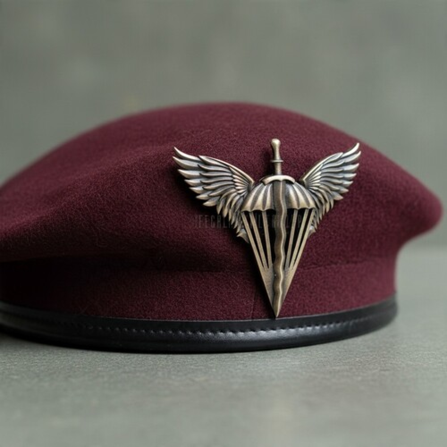 Беретний знак Десантно-Штурмові війська