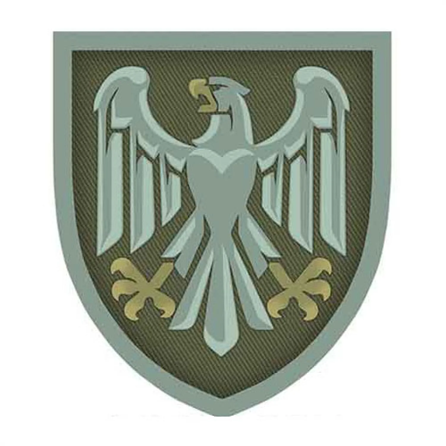 Нашивка 82 ОДШБр Збройних Сил України олива