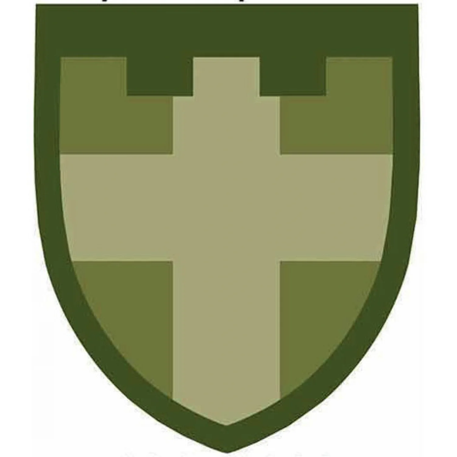 Нашивка ТрО 100 бригады ВСУ Волынь полевой