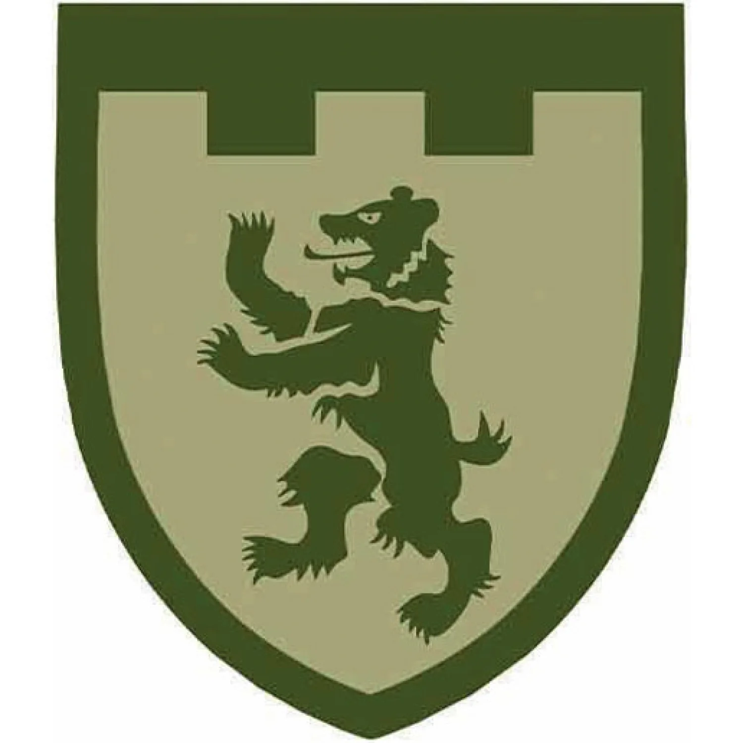 Нашивка ТрО 101 бригади ЗСУ Закарпаття польовий