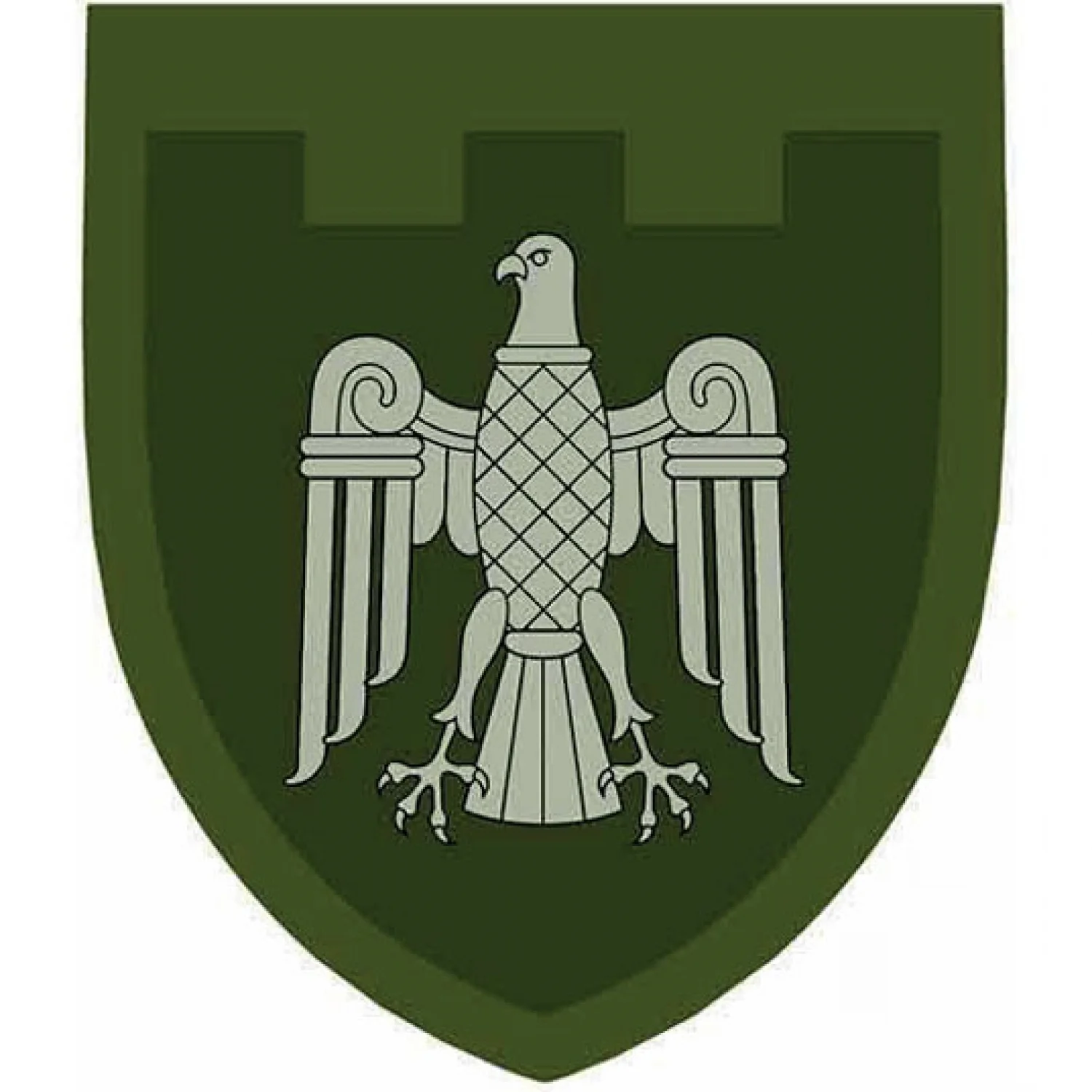 Нашивка ТрО 107 бригади ЗСУ Чернівці польовий