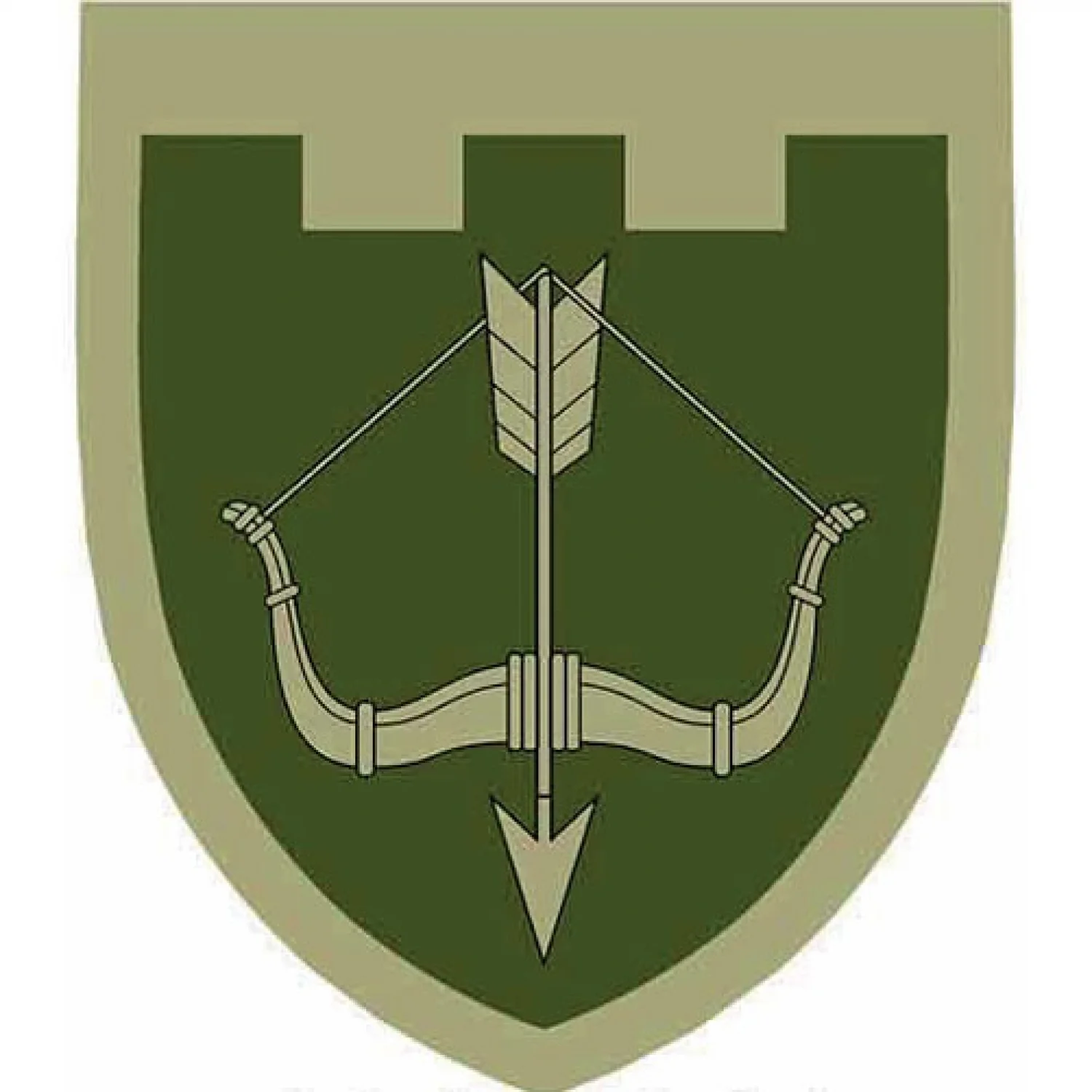 Нашивка ТрО 118 бригади ЗСУ Черкаси польовий