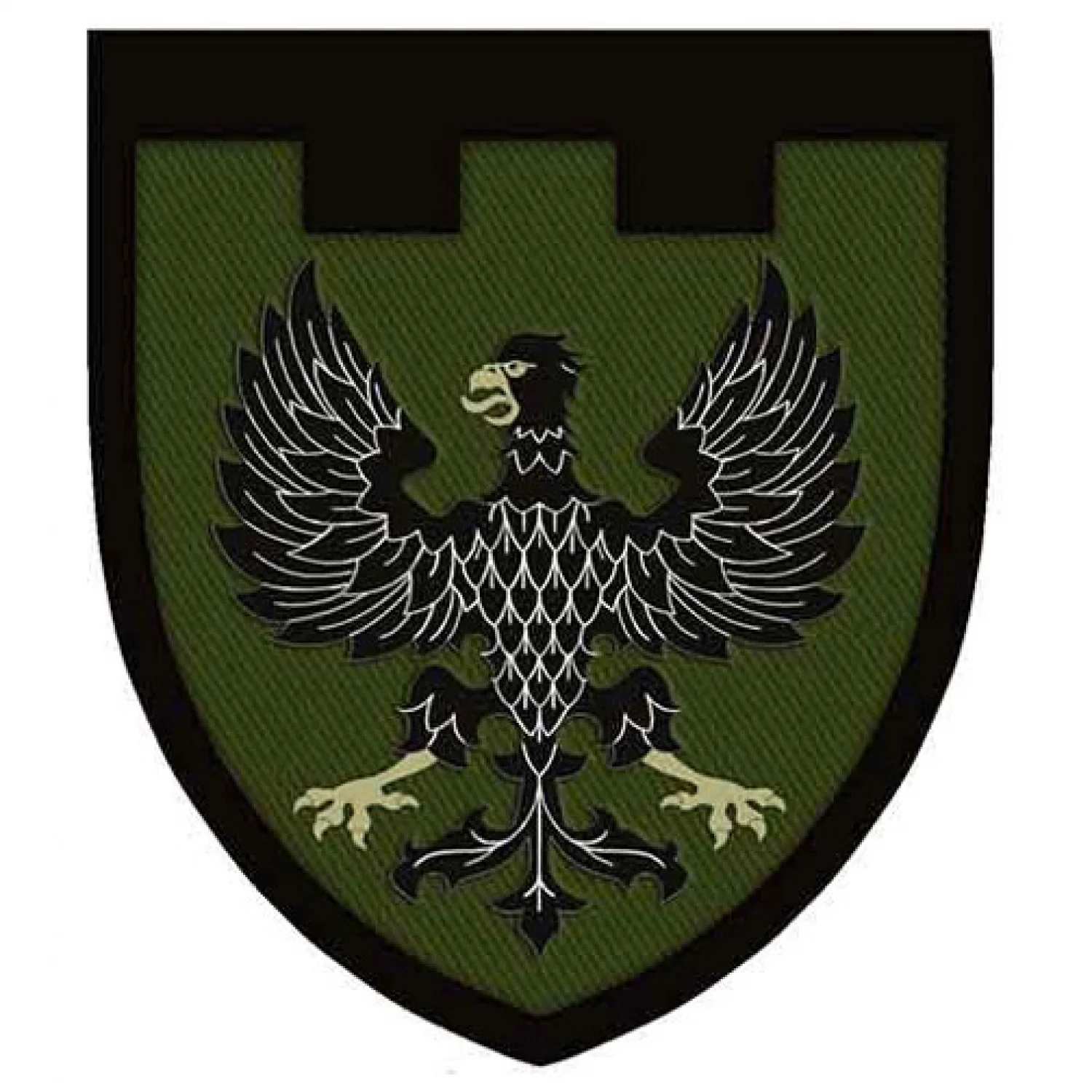 Нашивка ТрО 119 бригади ЗСУ Чернігів темна олива