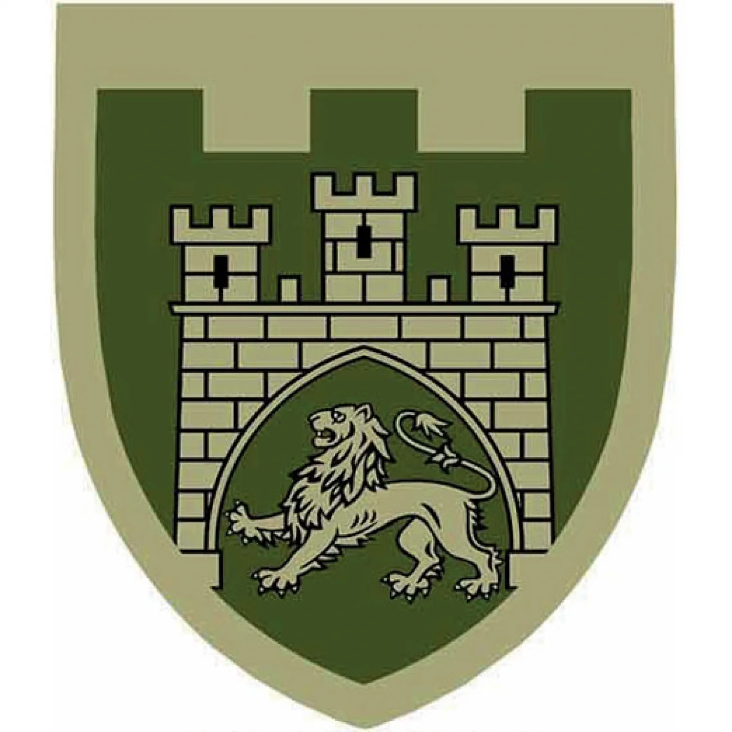 Нашивка ТрО 125 бригады ВСУ Львов полевой