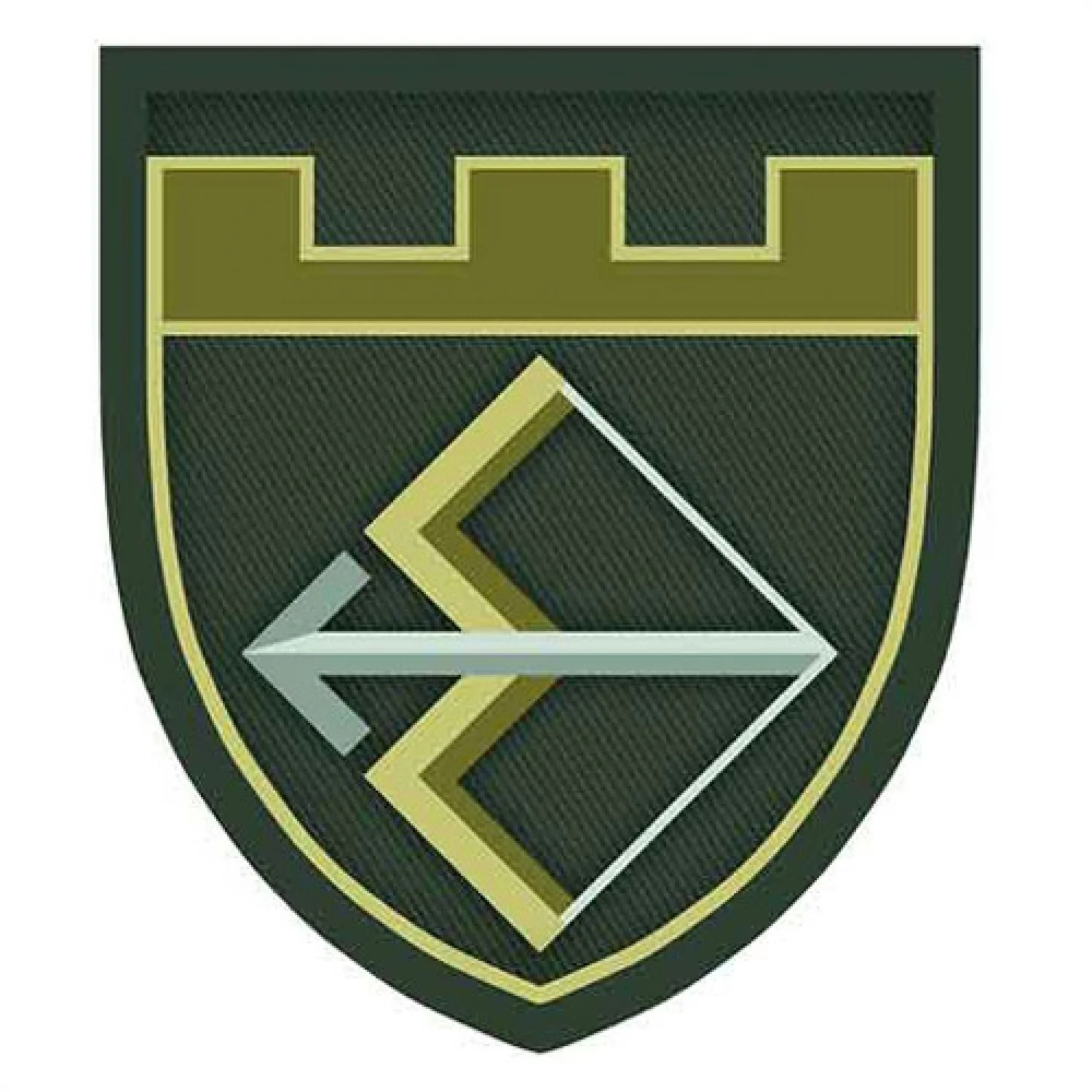 Нашивка ТрО 241 бригади ЗСУ польовий