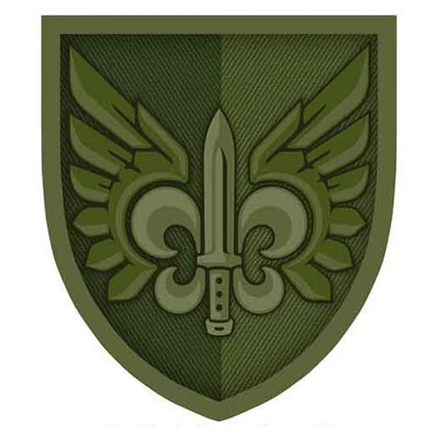 Нашивка ВСУ 132 отдельный разведывательный батальон