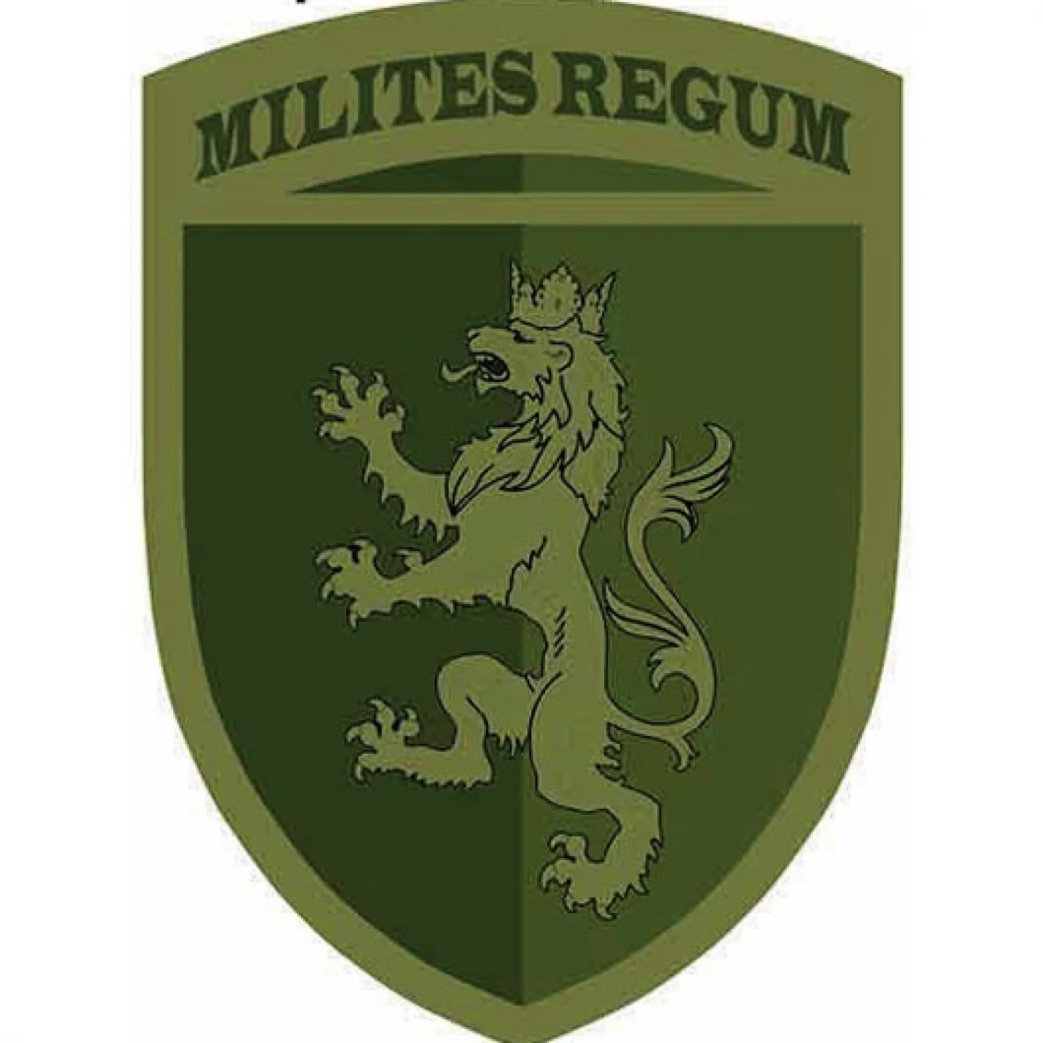 Нашивка ЗСУ 24 окрема механізована бригада імені короля Данила польовий об'ємний