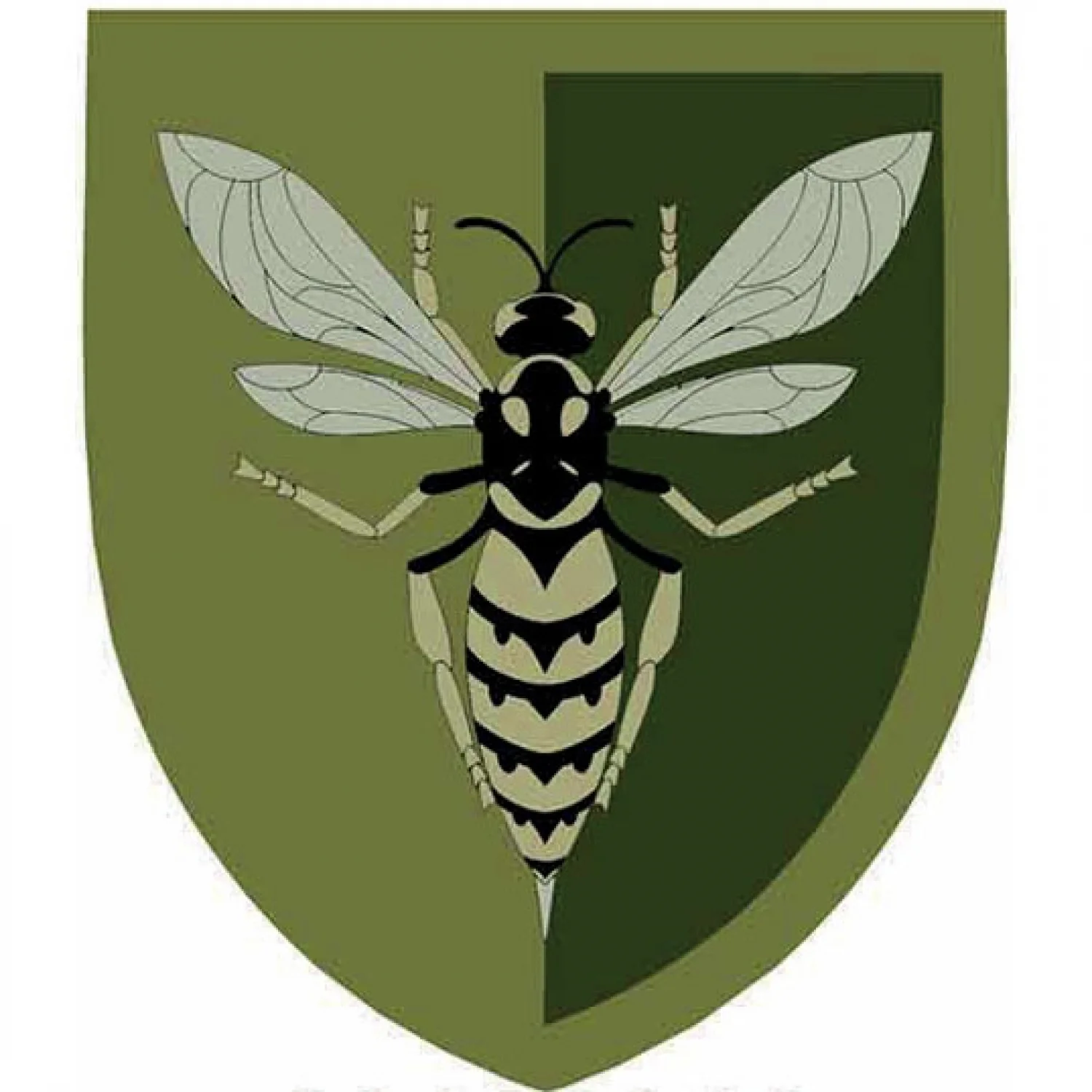 Нашивка ВСУ 38 зенитный ракетный полк ОК Юг полевой