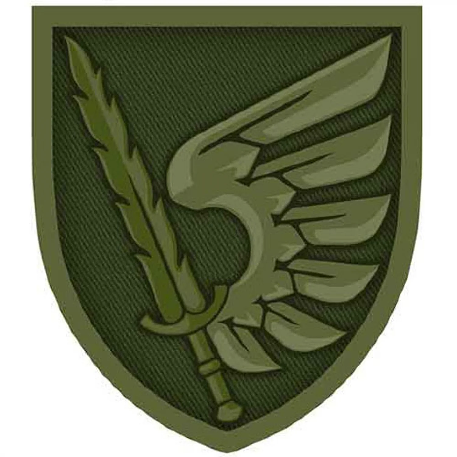 Нашивка ЗСУ 79 ОДШБр олива