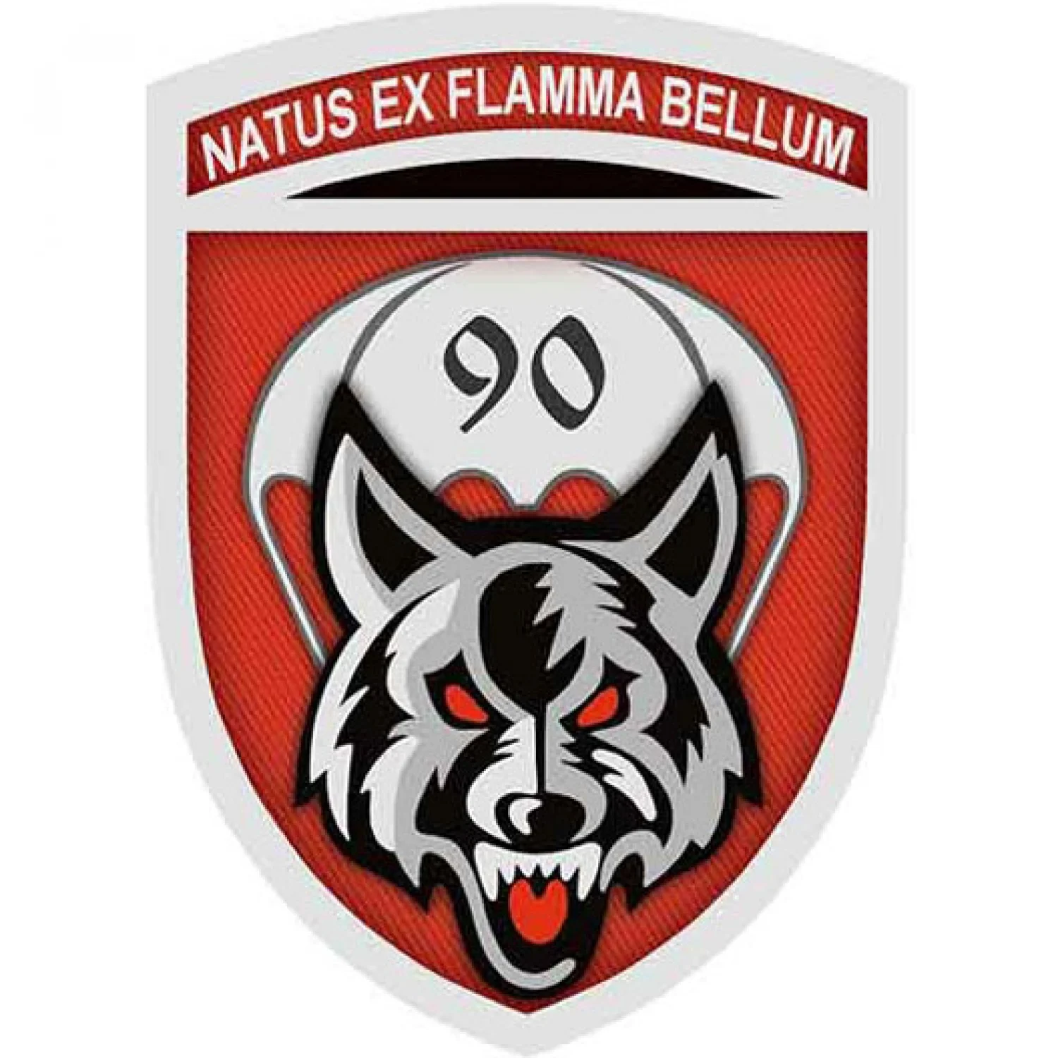 Нашивка ЗСУ Natus ex flamma bellum 90