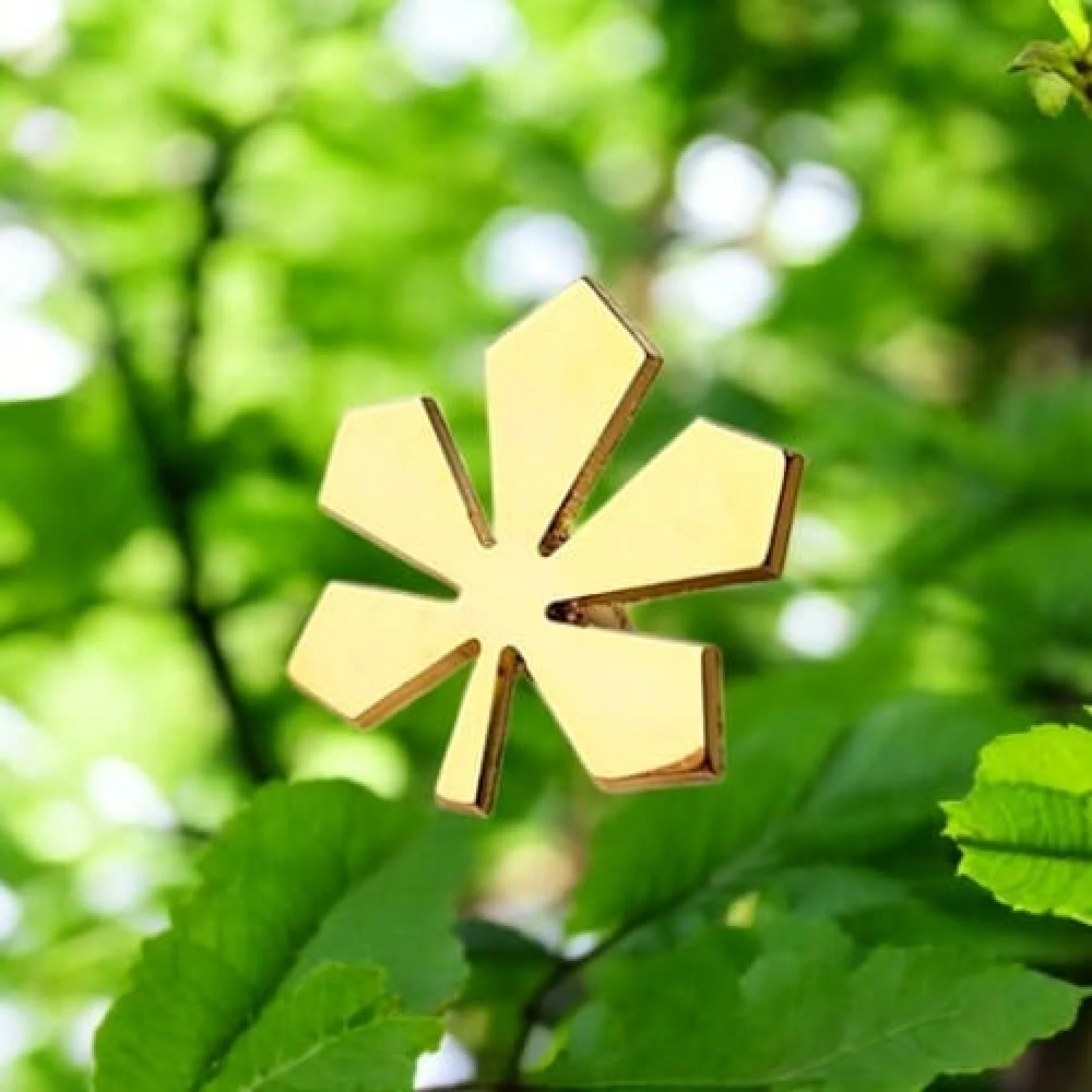 Значок Золотий Каштан