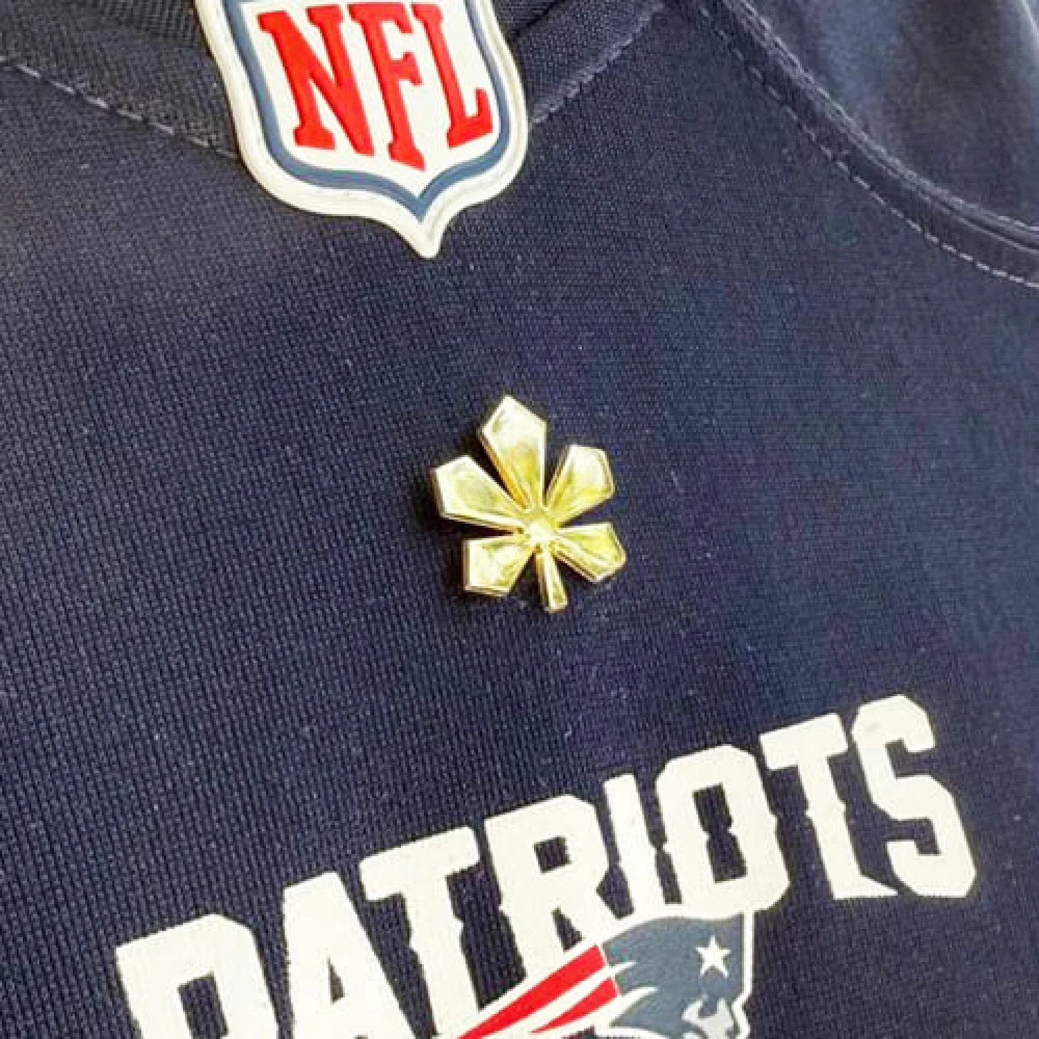 Значок Золотий Каштан