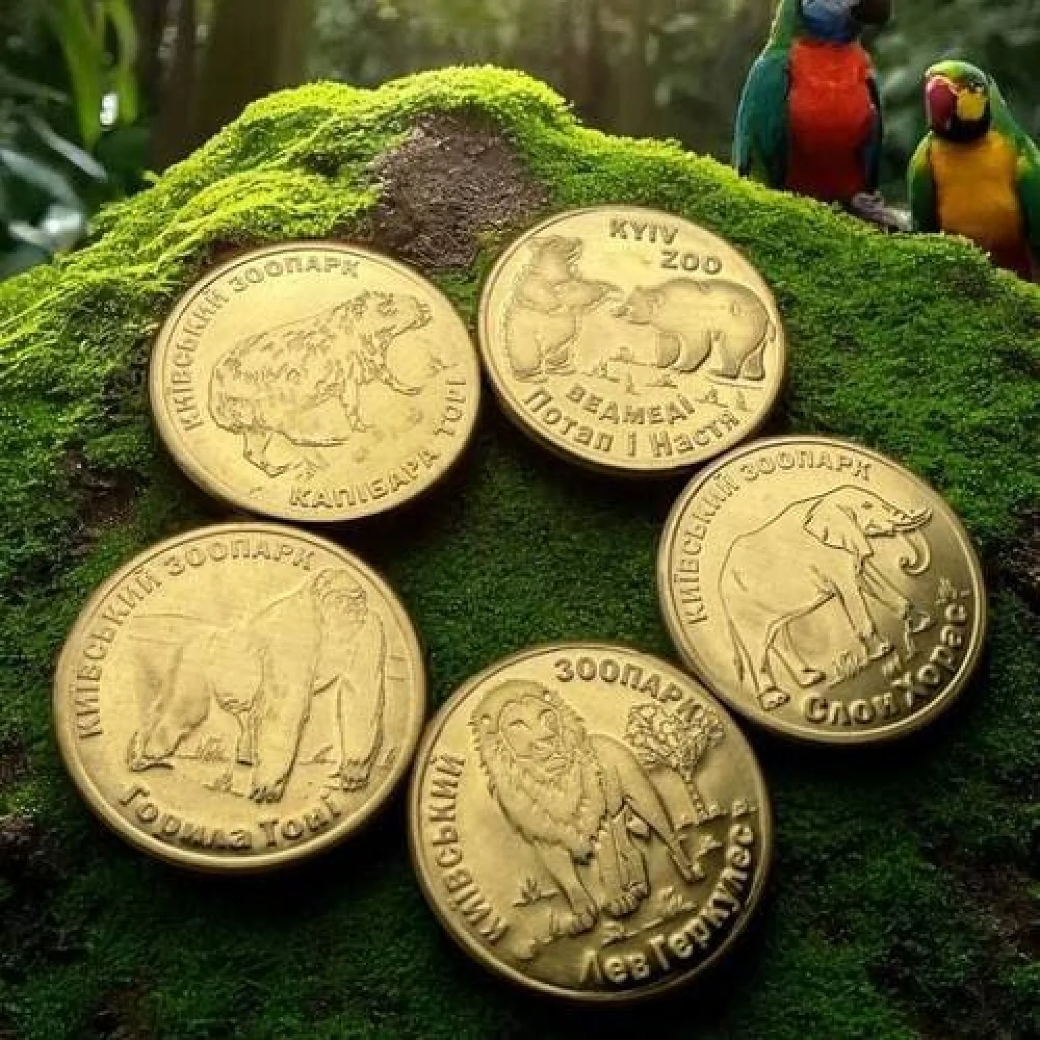 Монета Ведмеді КиївЗОО