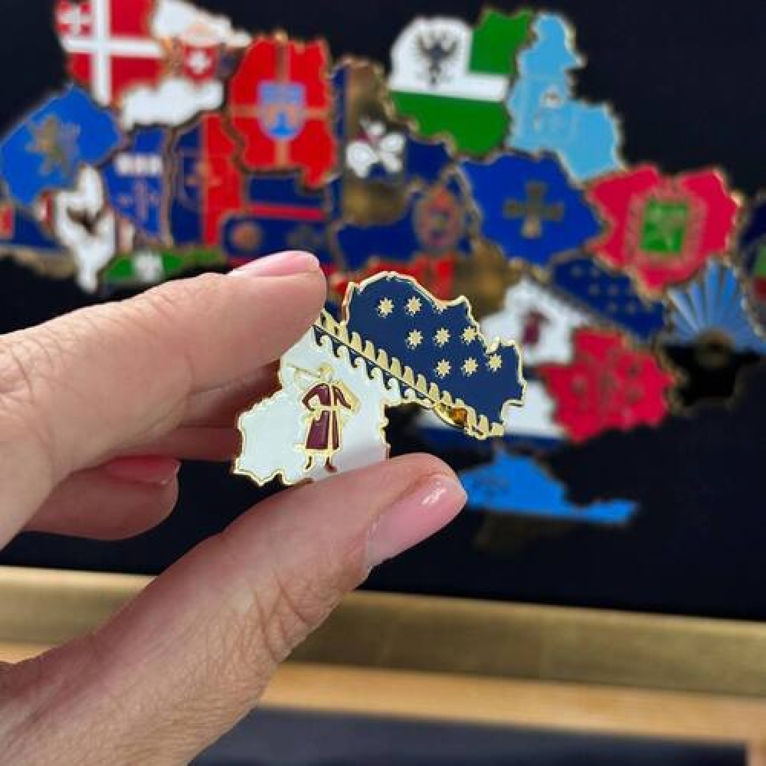 Значок Дніпровщина