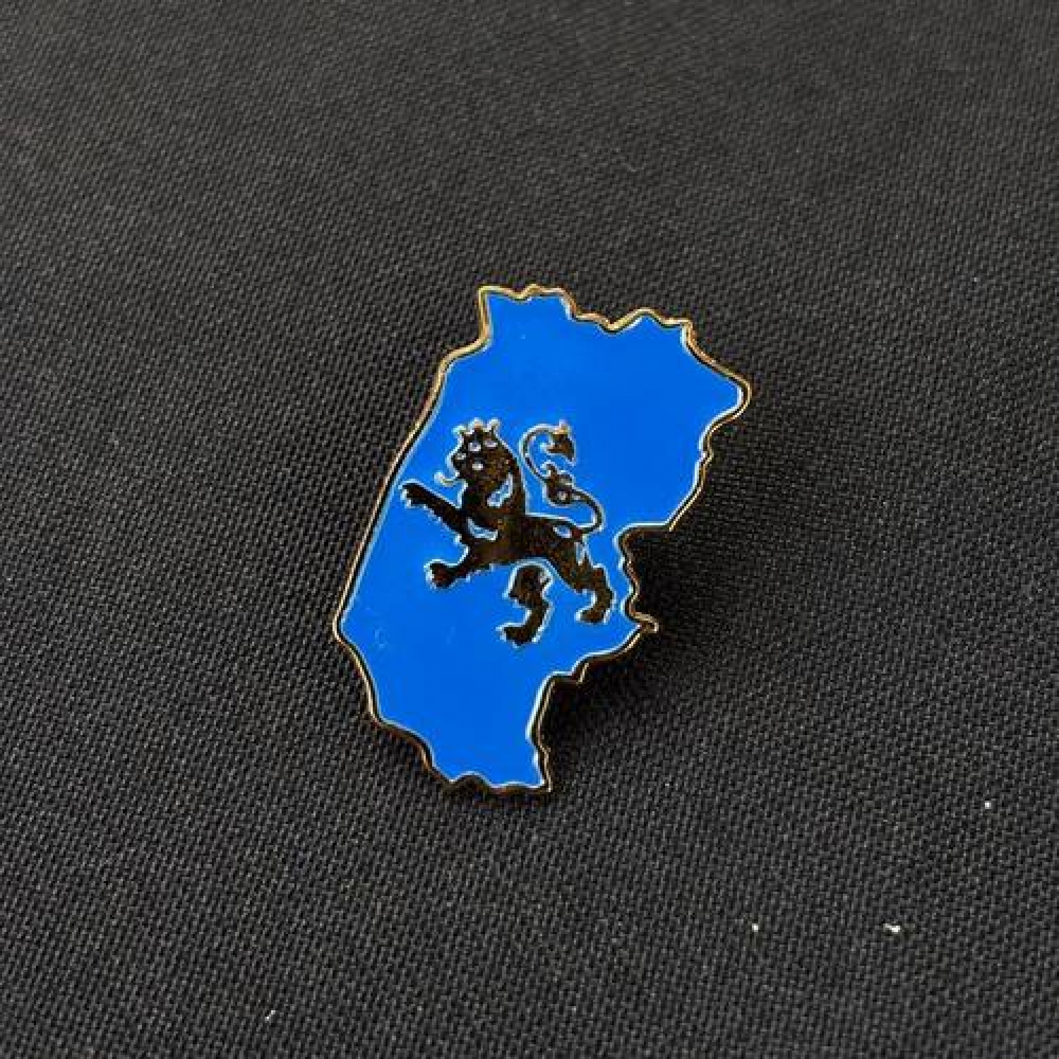 Значок Львівщина