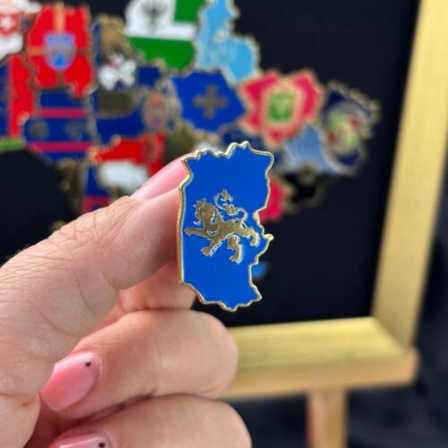 Значок Львівщина