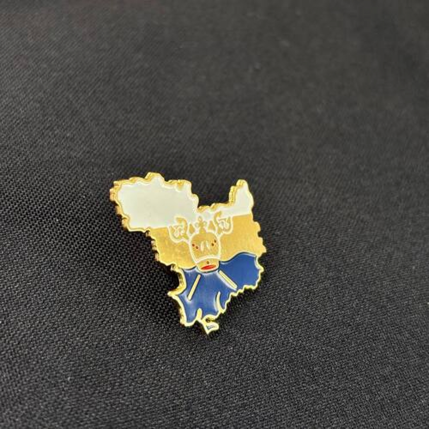 Значок Николаевщина