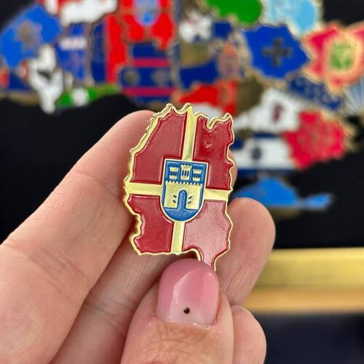 Значок Житомирщина