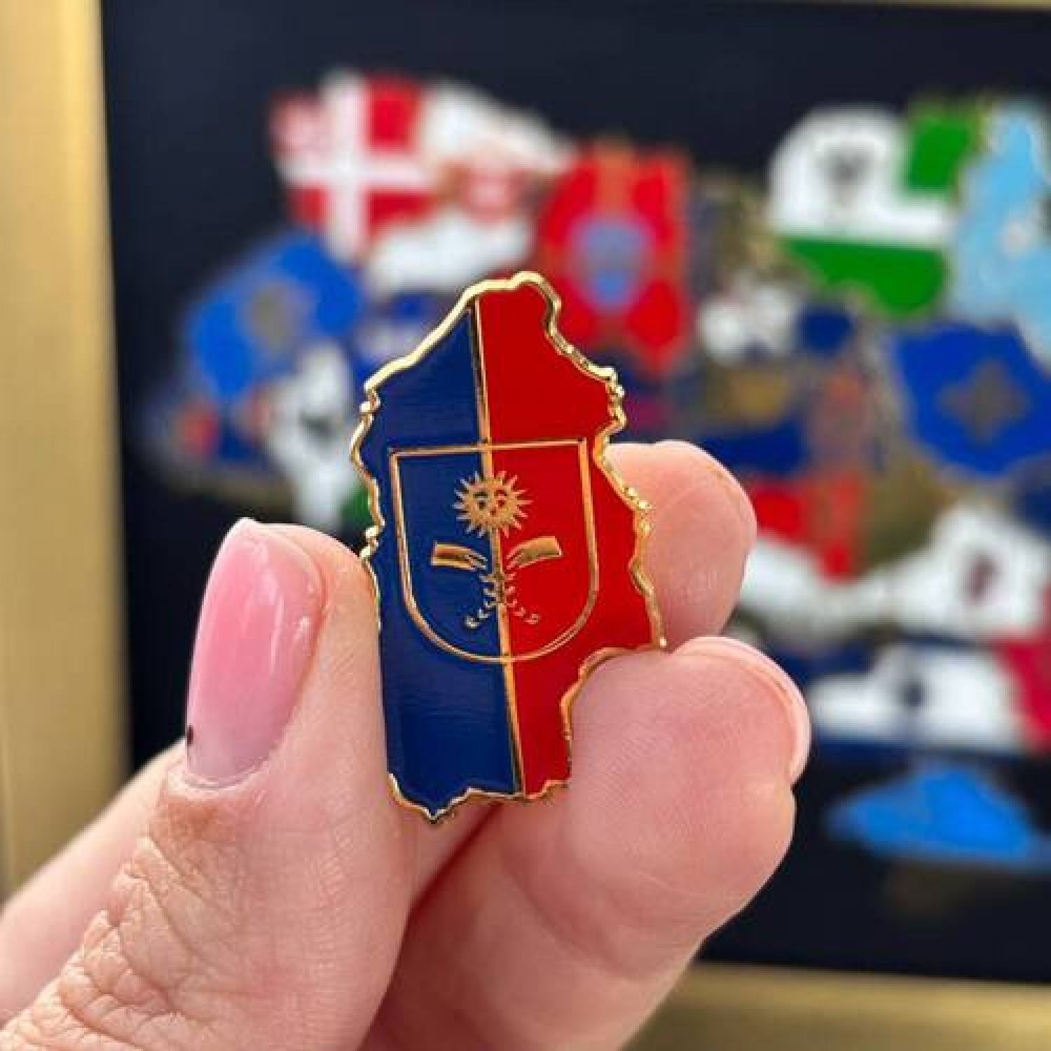 Значок Хмельниччина