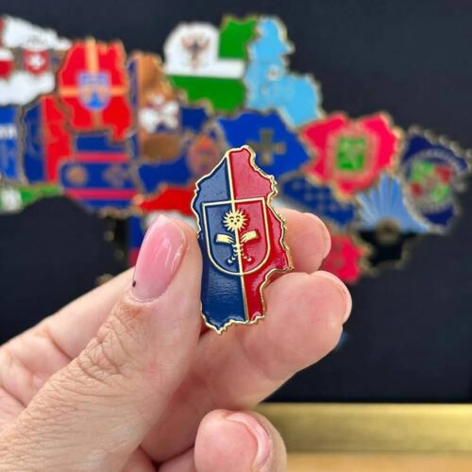 Значок Хмельниччина