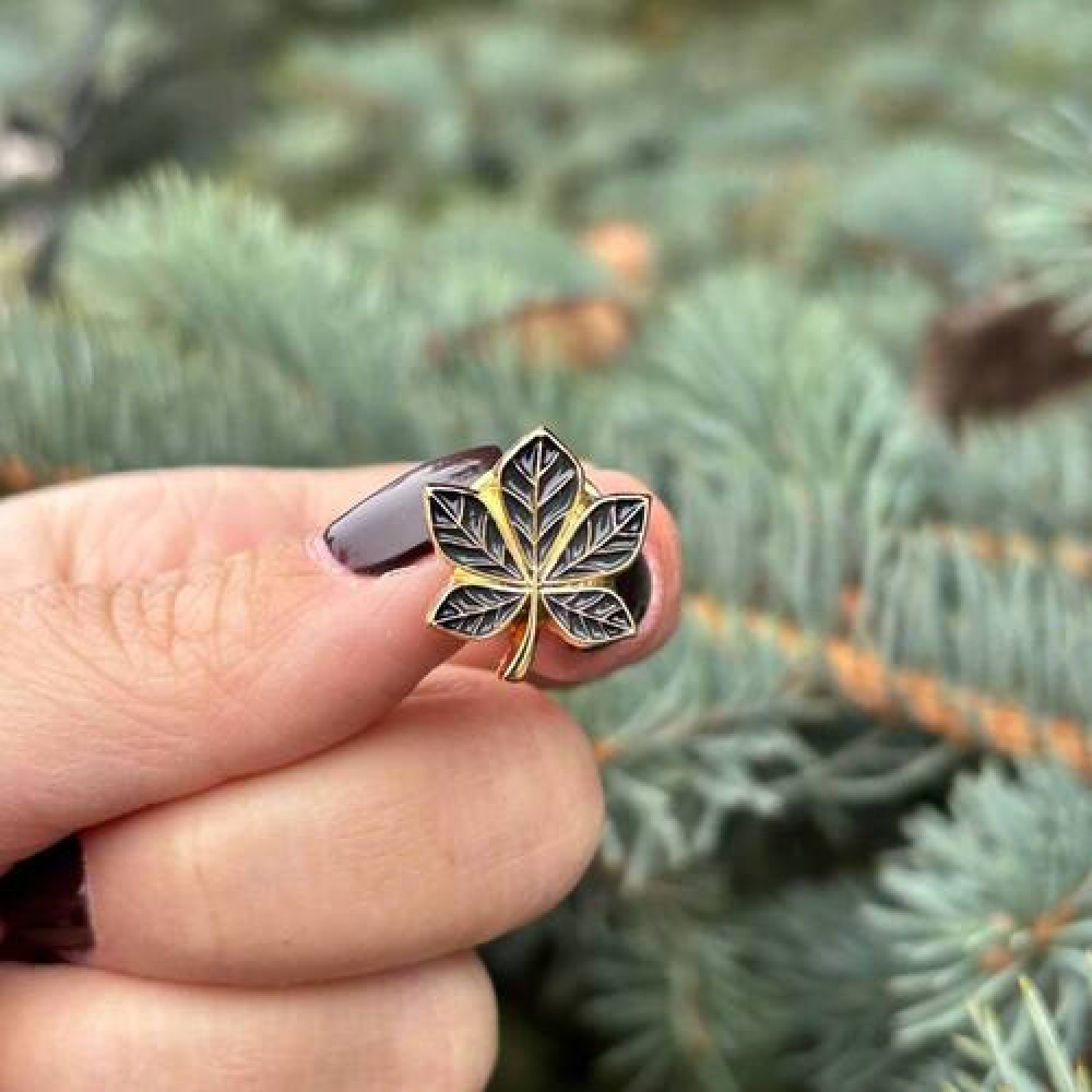 Значок Каштан черный позолота