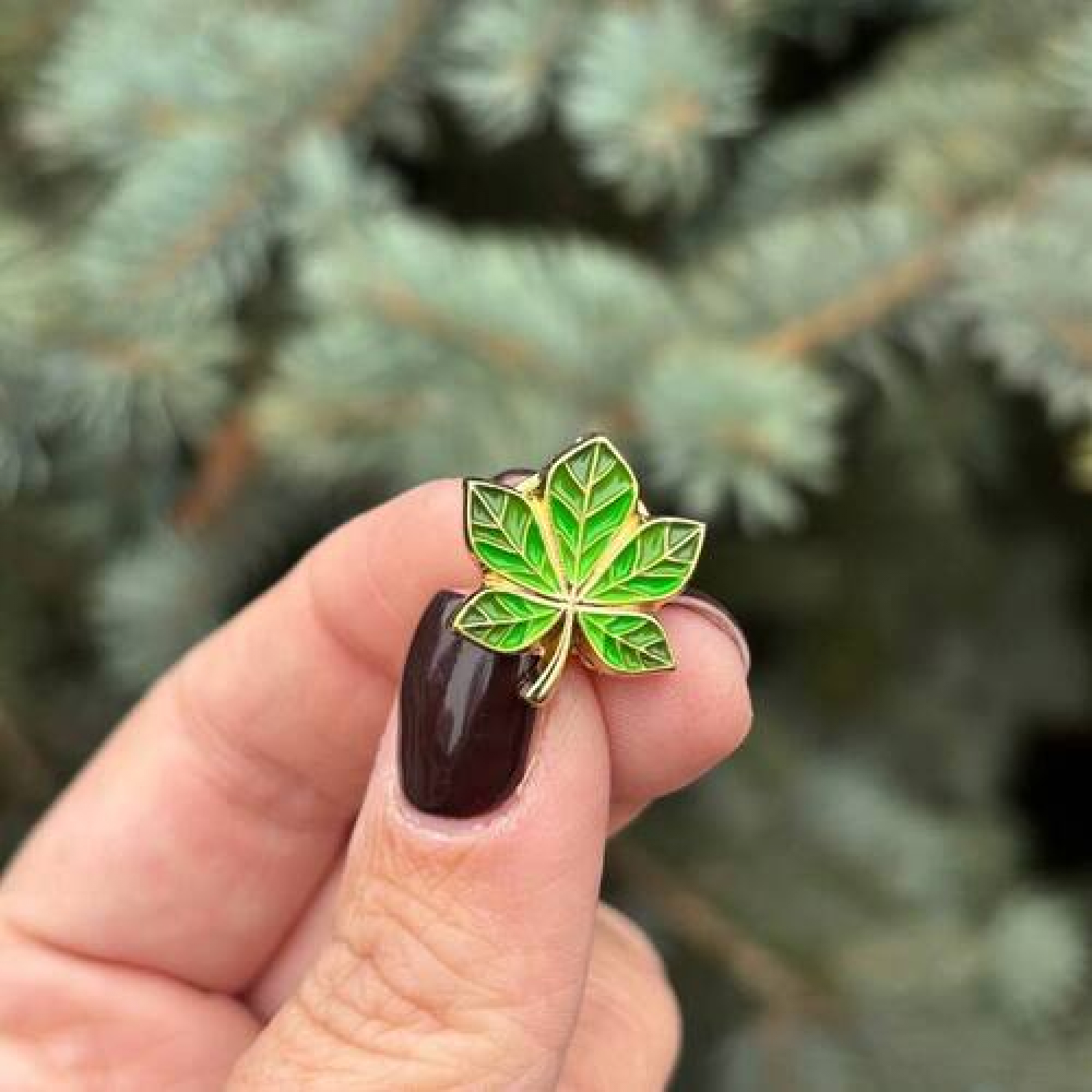 Значок Каштан зеленый позолота