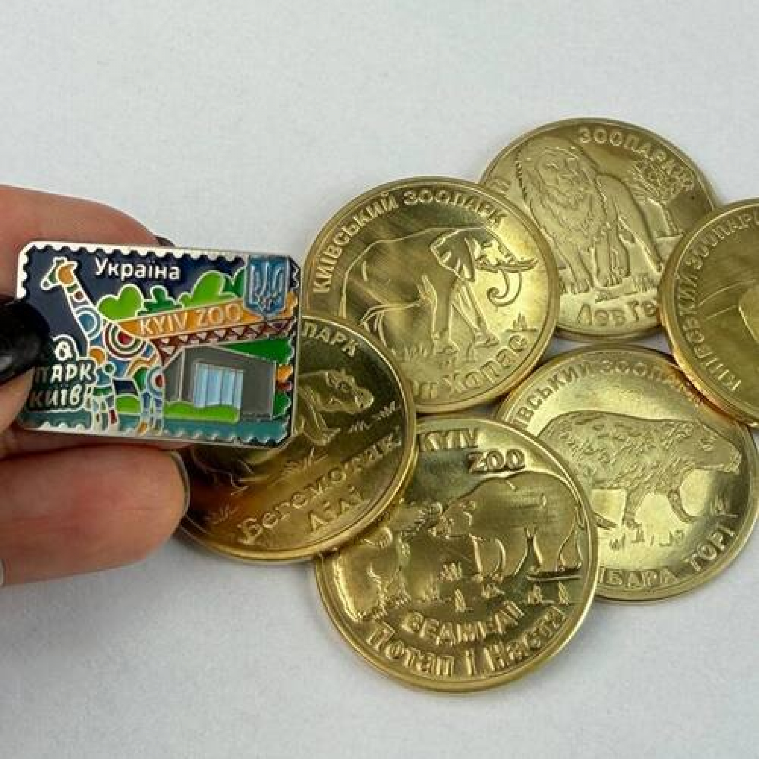 Набор из 6 монет + значок КиевЗОО