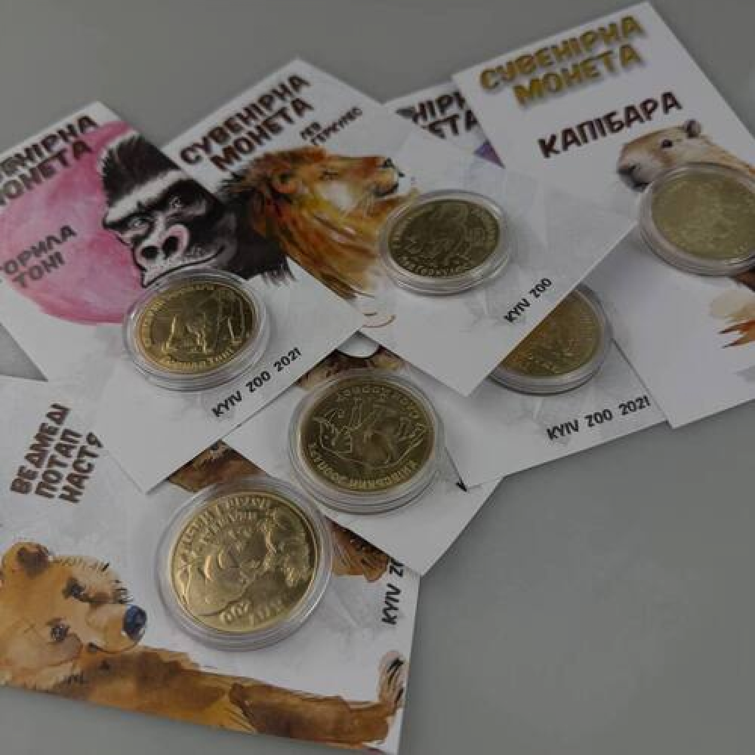 Набор из 6 монет КиевЗОО