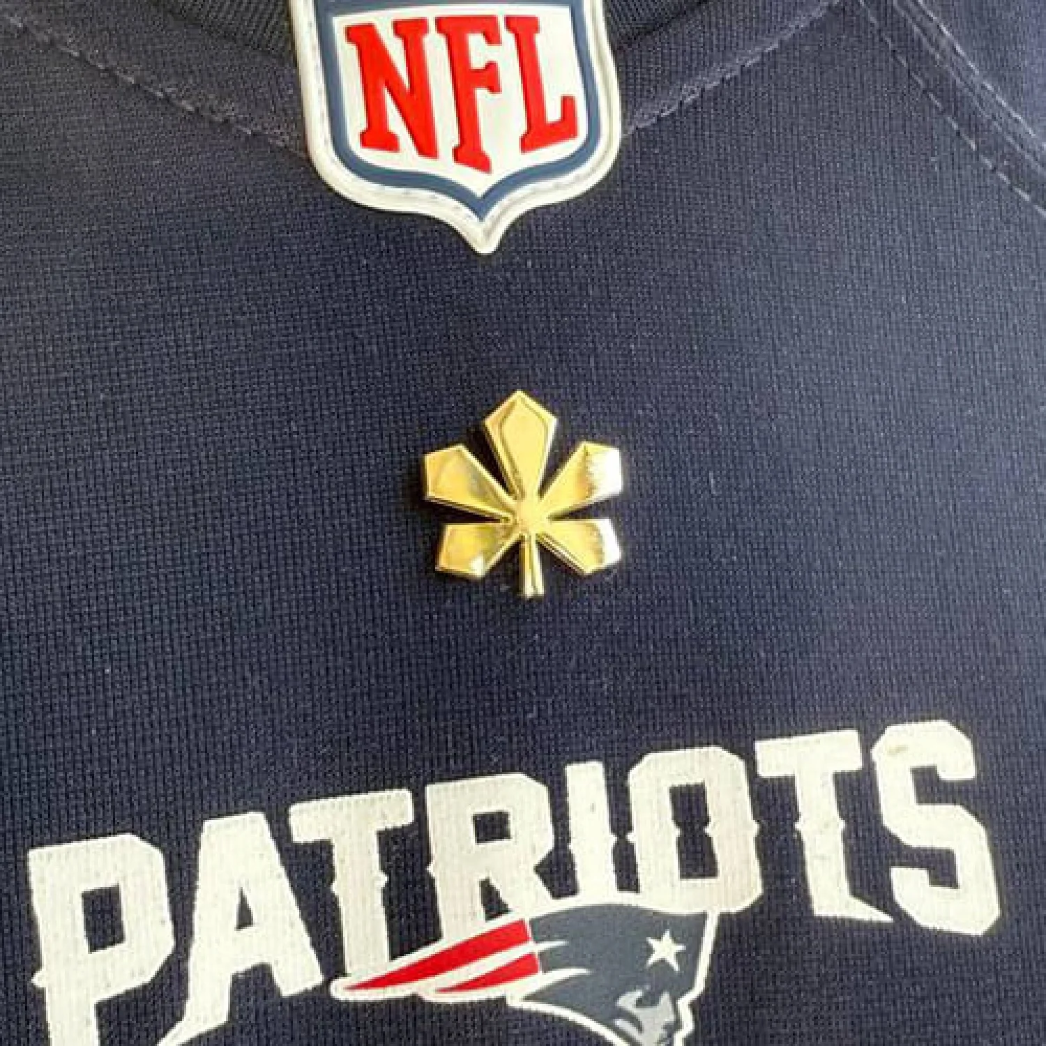 Значок Золотий Каштан