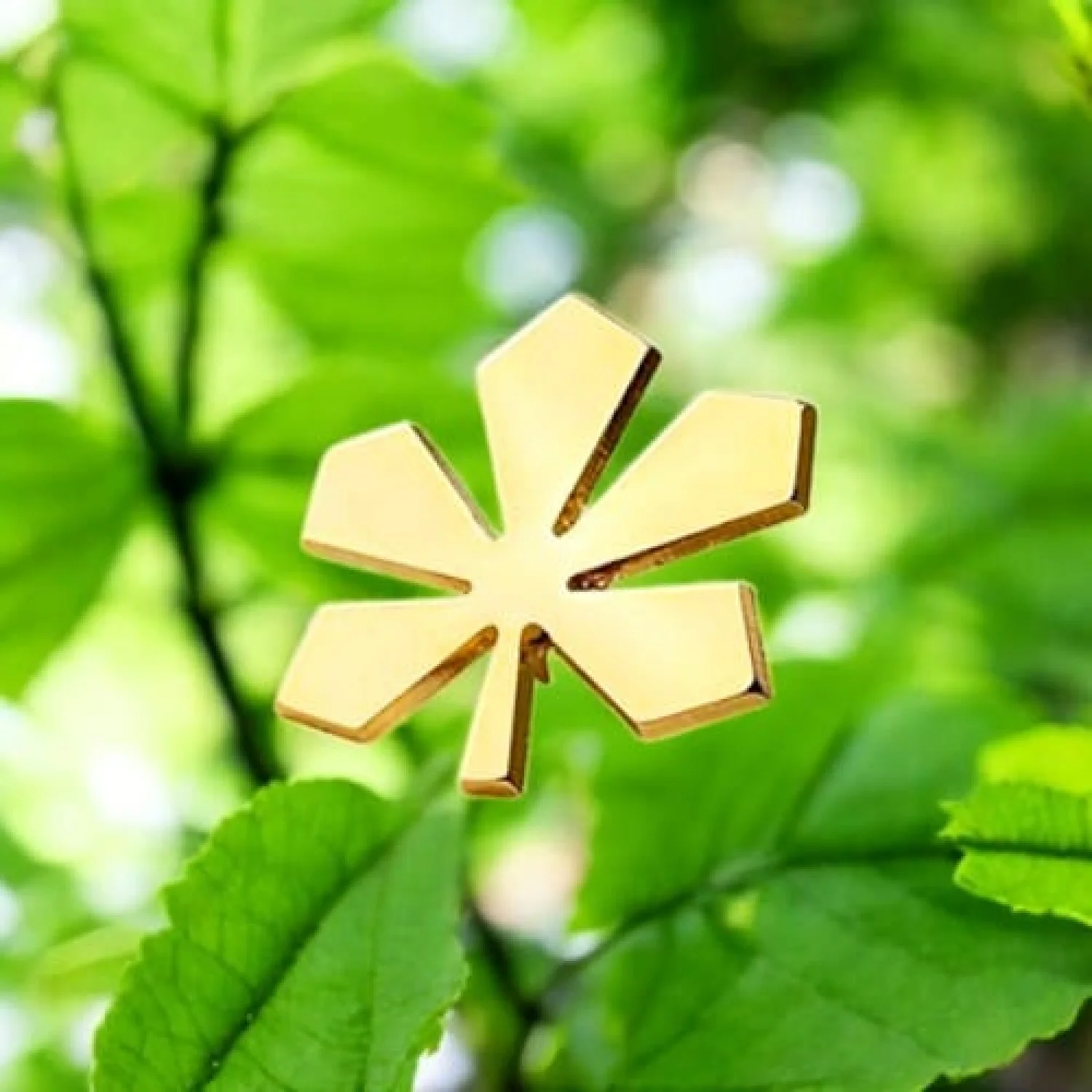 Значок Золотий Каштан