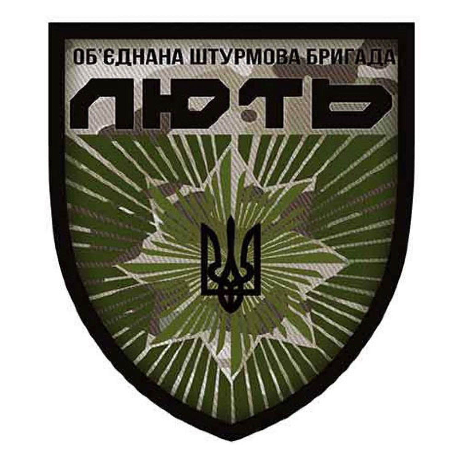 Шеврон Нацполіції Об'єднана штурмова бригада "Лють" об'ємний олива