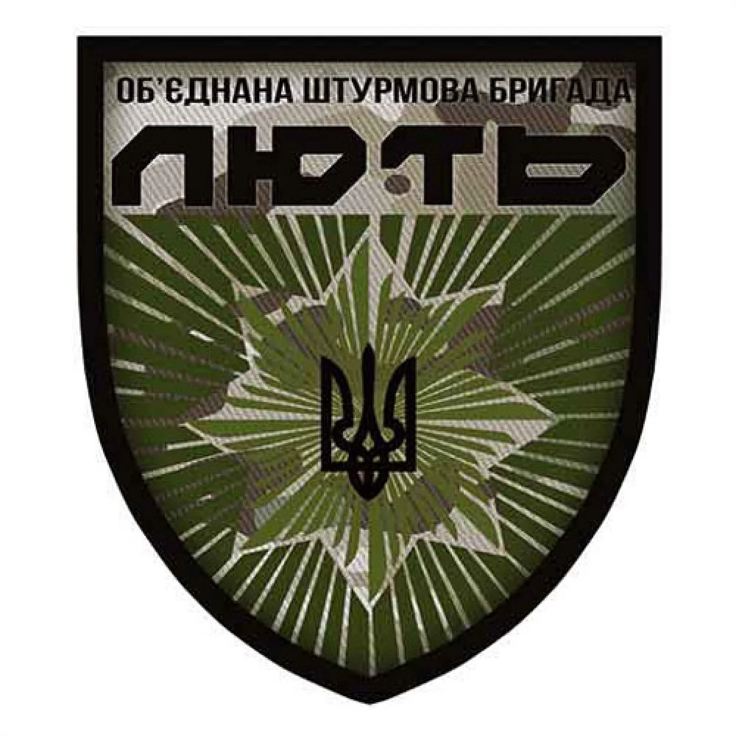 Шеврон Нацполиции Объединенная штурмовая бригада "Ярость" объемная олива