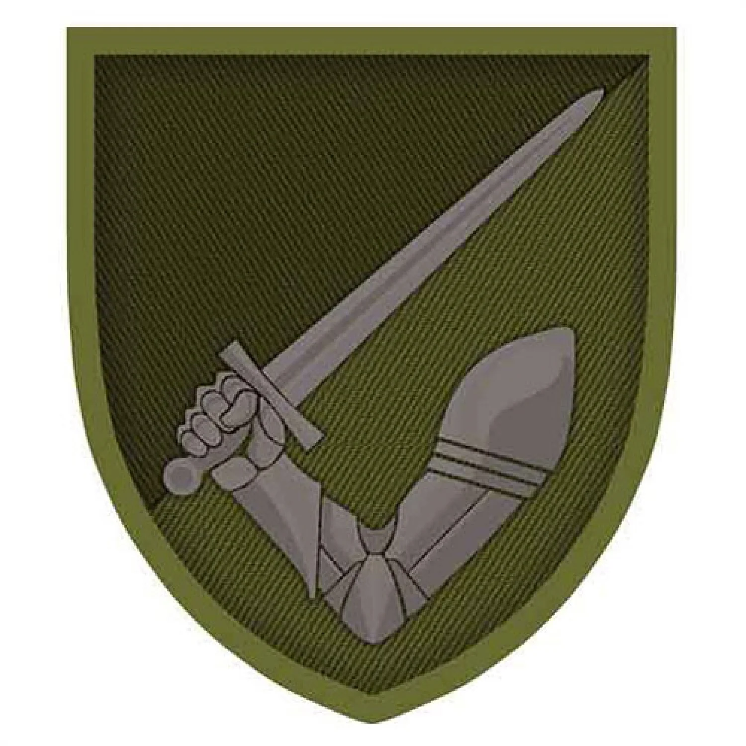 Шеврон рука з мечем 117-та ОМБр олива